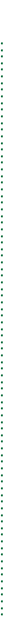 divider dots