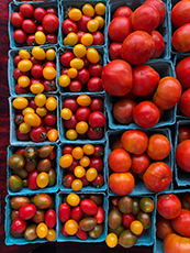 lots of tomatoes